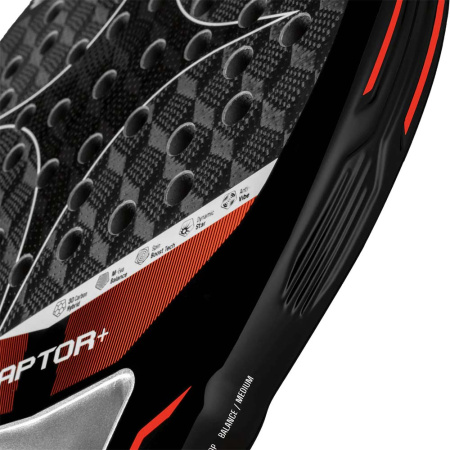 Starvie Raptor + 2026