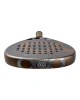 ACA Padel Palladium Gold LTD
