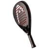 Head Coello Motion 2025